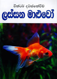 We did not find results for: Expographic Books Expographic Book Shop