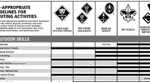 Tiger Cub Scout Advancement Chart 2019