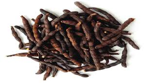 Image result for Xylopia aethiopica