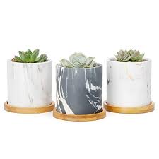Canisters feature tall white cylindrical bodies with a removable lid decorated with impressed line detailing. Succulent Plant Pots 3 Inch Small Ceramic Cylindrical Planter Containers For Flowers Or Cactus With Drainage Hole And Bamboo Tray Marble Set Of 3 Buy Online In Antigua And Barbuda