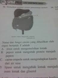 Kunci Jawaban Spm Plus 2017 Bahasa Indonesia Paket 1 Guru Galeri