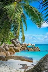 Bekijk het resultaat van de extreme koudegolf in de amerikaanse plaats maine. Beach Beachlife Sea Vitaminsea Ocean Paradise Nature Atthebeach Beach Beachlife Beachbody Beachday Cap Schone Orte Schone Landschaften Urlaubsorte