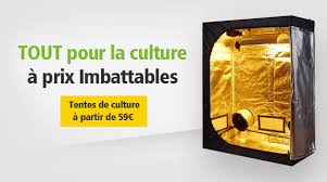 Magasin Culture Indoor Hydroponie Materiel Culture Hydroponique