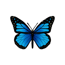 Maybe you would like to learn more about one of these? Blue Butterfly Sticker By Jadydesigns Blue Butterfly Butterfly Stickers