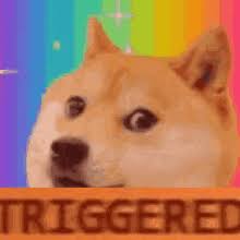 Find gifs with the latest and newest hashtags! Doge Meme Gifs Tenor