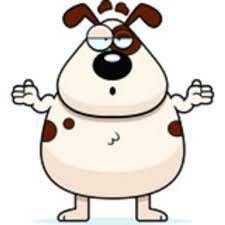 Check spelling or type a new query. My Fat Pet Myfatpet Twitter
