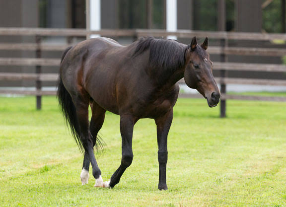 Deep Impact: 2002-2019