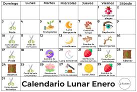 A continuación encontrarás el calendario lunar para el 2021 en méxico, en el cual podrás consultar las fechas del cambio de fase lunar a lo largo del año según la sabiduría popular el calendario lunar sirve para trabajar entre otras cosas, en las labores del huerto, es decir, siembra y cosecha de flores. Calendario Lunar 2021 Tlaolli Agroecologia Permacultura Facebook