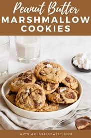 Pin On Cookie Recipes Galore