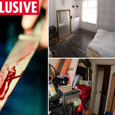 The documentary called the real 'des': Inside The Houses Of Death Shocking Images Reveal The Secret Lives Of Notorious Killers Daily Star