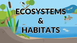 There are an estimated 390,900 different species of plants known to science. Difference Between Ecosystem And Habitat Science For Kids Youtube