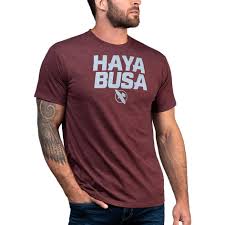 Hayabusa Casual Logo T Shirt Red