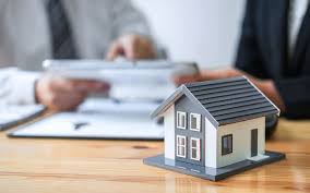 New ep 'half a human' out now. Real Estate Violation System Guide Complaints Scope More Mybayut