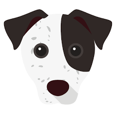 We will always help you to have a 100% positive happy buying experience. Personalised Jack Russell Terrier Cushions Yappy Com