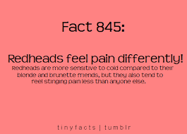It can be consumed in the form of food or tea or sometimes you can make it a paste and place it on your hair and allow it to dry for some time. How About That Hmm Redhead Facts Redhead Quotes Hair Facts