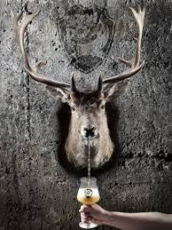 Pin On Brewing