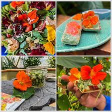 Image result for Nasturtium