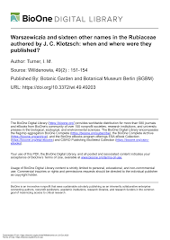 Image result for Tricalysia jasminiflora