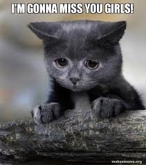 I M Gonna Miss You Girls Confession Cat Make A Meme