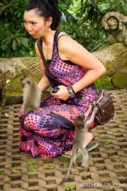 Maybe you would like to learn more about one of these? Getting Attacked By Monkeys In Monkey Forest Ubud Bali Nerd Nomads