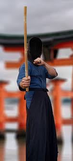 Autodifesa, offesa, applicazioni militari, competizione sportiva, sviluppo fisico, mentale e spirituale, intrattenimento e conservazione. Primo Anno Di Corso Di Arti Marziali Sala D Arme Fior Di Loto