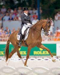 In those four games she won eight medals, five of them gold. Developing Elasticity In The Dressage Horse With Isabell Werth Dressage Horses Equestrian Outfits Horses