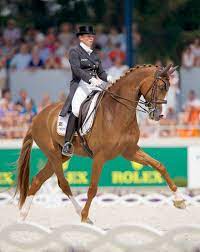It offers a secure feeling without being forced. Developing Elasticity In The Dressage Horse With Isabell Werth Dressage Horses Equestrian Outfits Dressage