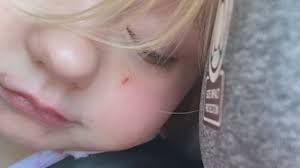 Police investigating Overland Park, Kansas daycare