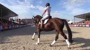 De beste borden van britt dekker. Bit Op Horse Event Britt Dekker Youtube
