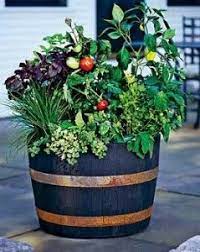 Vegetable Container Gardening 101 Garden Containers Container Gardening Vegetables Vegetable Planters