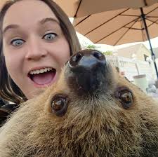 LESS THAN JAKE'S SUMMER CIRCUS Tour 2025 is