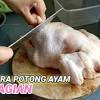 Usaha peternakan ayam potong ini berlokasi di kp.nenggeng, desa cijengkol, sukabumi, jawa barat. 1