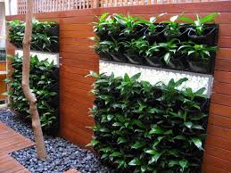 These small garden ideas have more than enough inspiration to bring style to your home you can't go wrong with taking advantage of outdoor wall space. 39 Vertical Gardening Ideas Systems And Designs In 2021