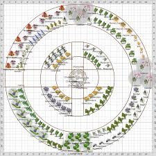 The first thing to decide is where you wish your culinary herb garden to be. Garden Plan Front Herb Garden Walk