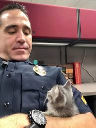 During last night's shift, Officer Cardin found this little bundle of fur  hiding at the base of a lamppost at the corner of Florida Avenue and Pine  Street. It was early in
