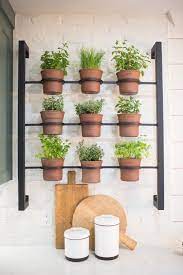 The Chicken House Magnolia Market Herb Wall Herb Garden In Kitchen Hanging Herbs