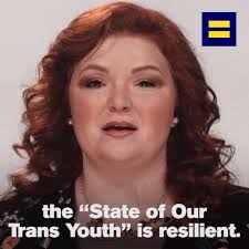 The American Equality Bill (AEB) Project