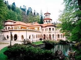 Cel mai frumos castel din tara noastra, pelesul, a fost ridicat intre anii 1873 ridicat pe domeniul castelului peles, la cererea regelui carol i, pelisorul avea sa fie resedinta de vara pentru cei mai importanti mostenitori din anul 1903. Castelul Foisor Sinaia