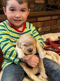 Paducah or Elizabethtown