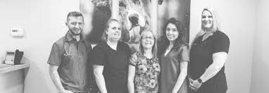 Maybe you would like to learn more about one of these? Veterinarian Pet Clinic Waukesha Wi Animal Wellness Center