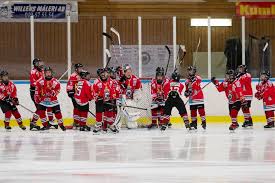 Örebro hockey ungdom, seriematch för u13. Kumla Hockey Team 07 U14 Svenskalag Se