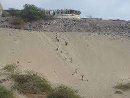 قرية فقم الرمل البحري الناعم تصوير باسم محمد علوان outdoor beach water
