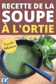 Epingle Sur Idee Repas
