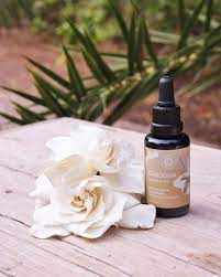 Gardenia Shift In Perception Understanding Full Embrace Of Character Gardenia Flower Essences Perfume Bottles