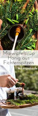 Maiwipfelsirup Honig Aus Fichtenspitzen Ganz Einfach Selbst Gemacht Rezept Veganer Honig Sirup Fruhlingsrezepte