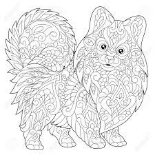 Some of the colouring page names are pomeranian coloring bing images animal drawings, pomeranian coloring google search dog, pomeranian coloring dog patterns. Coloring Page Of Pomeranian Dog Symbol Of 2018 Chinese New Year Royalty Free Cliparts Vectors And Stock Illustration Image 87766591