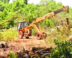 Later on, i found that the curious cat was. Aarey Forest Stays Car Shed Goes