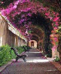 Passage At Jardin De Monforte In Valencia Spain Jardines Lugares Hermosos Espana