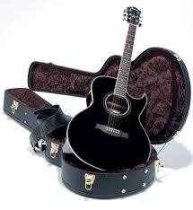 Top rated seller top rated seller. Ibanez Jsa10 Bk Im Test Gitarre Bass