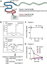 Camera de hotel 309 toate episoadele + 7 mai. Neutrophil Elastase Activates Protease Activated Receptor 2 Par2 And Transient Receptor Potential Vanilloid 4 Trpv4 To Cause Inflammation And Pain Journal Of Biological Chemistry